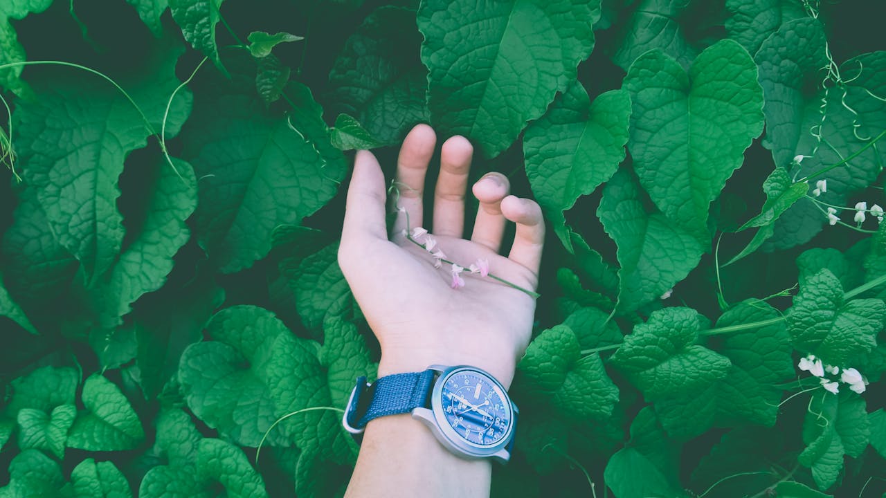 story-img A close-up of a hand wearing a watch surrounded by lush green leaves and delicate vines.